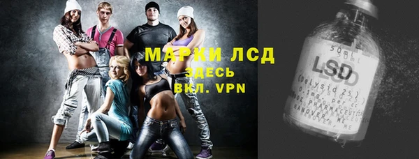 прущий лед Алзамай