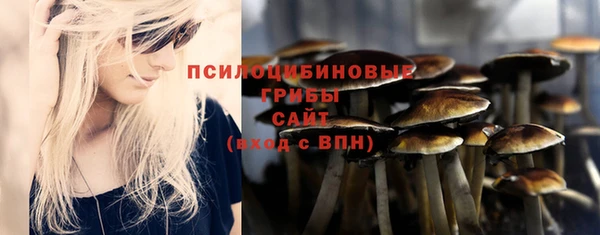 бутират Алексин