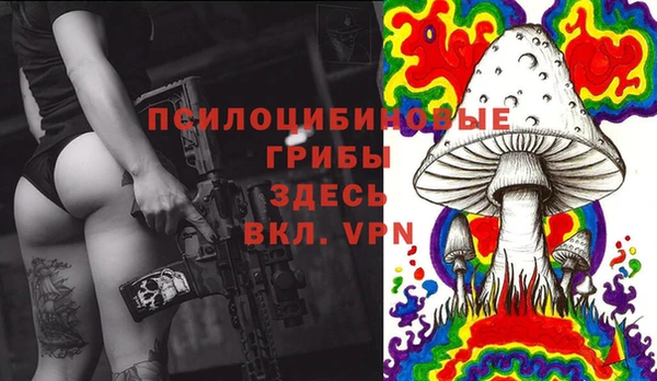 бутират Алексин