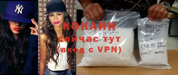 прущий лед Алзамай