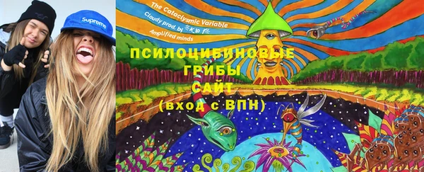 прущий лед Алзамай