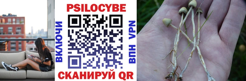 площадка состав  цены наркотик  Томилино  Псилоцибиновые грибы Psilocybine cubensis 